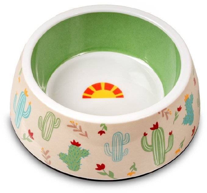 ΜΠΟΛ ΓΑΤΑΣ GLEE CACTUS ΜΕΛΑΜΙΝΗ ΡΟΖ-ΠΡΑΣΙΝΟ M 500ML GLEE