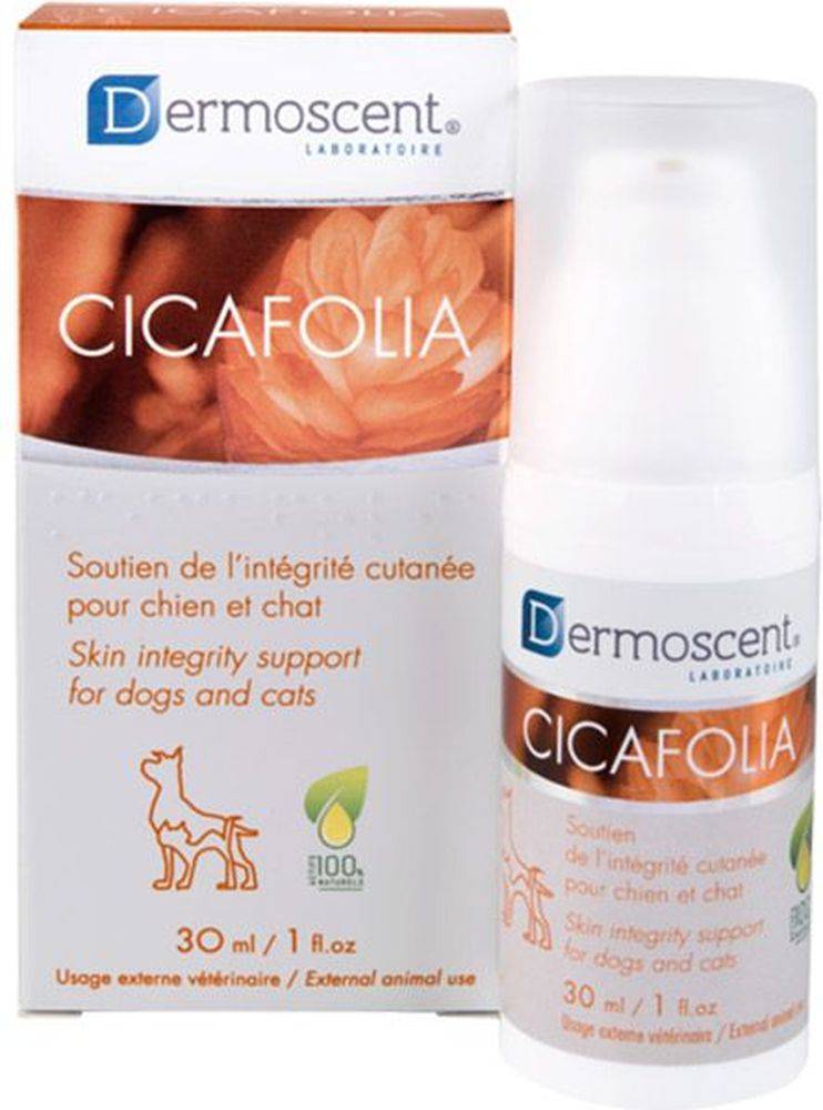 DERMOSCENT ΚΡΕΜΑ DERMOSCENT CICAFOLIA 30ML