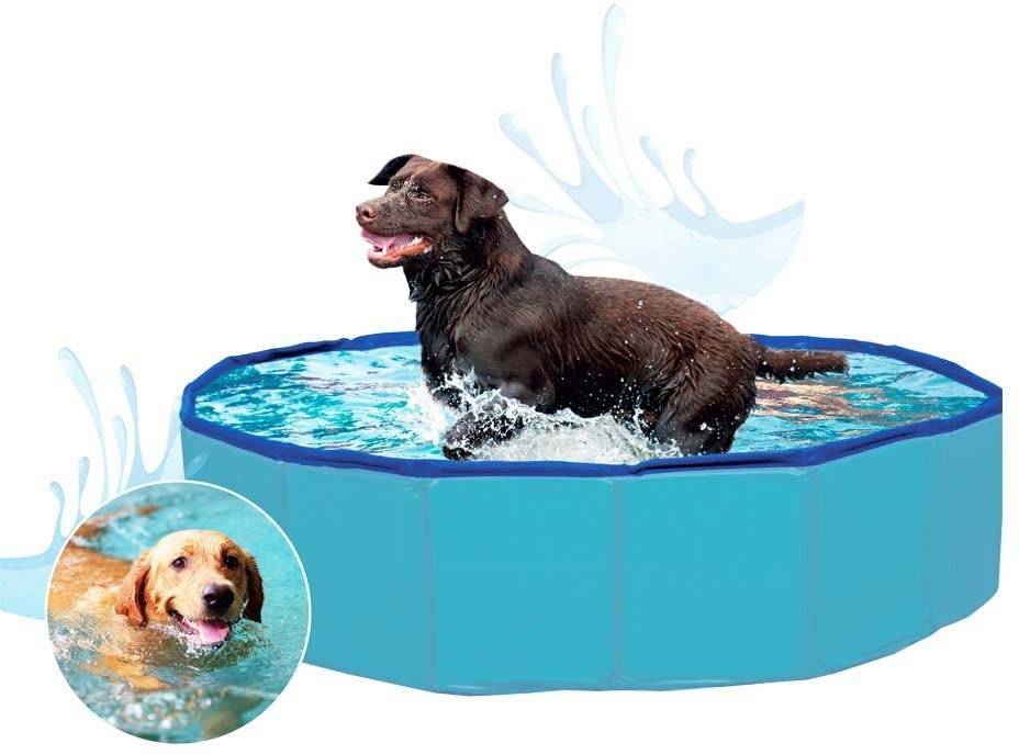 ΠΙΣΙΝΑ ΓΙΑ ΚΑΤΟΙΚΙΔΙΑ GLEE PET POOL M (120X30 CM) GLEE