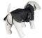  TRIXIE KING OF DOGS  (S-35CM)