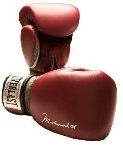   EVERLAST MUHAMMAD ALI PRO STYLE TRAINING /