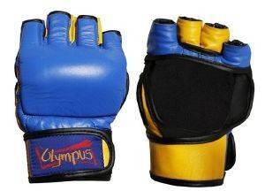   MMA OLYMPUS / (L)