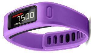  GARMIN VIVOFIT 