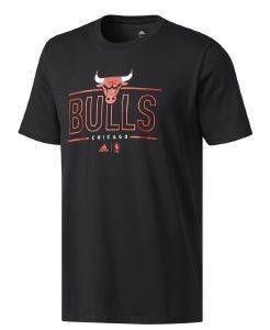  ADIDAS PERFORMANCE BULLS GRAPHIC TEE  (L)