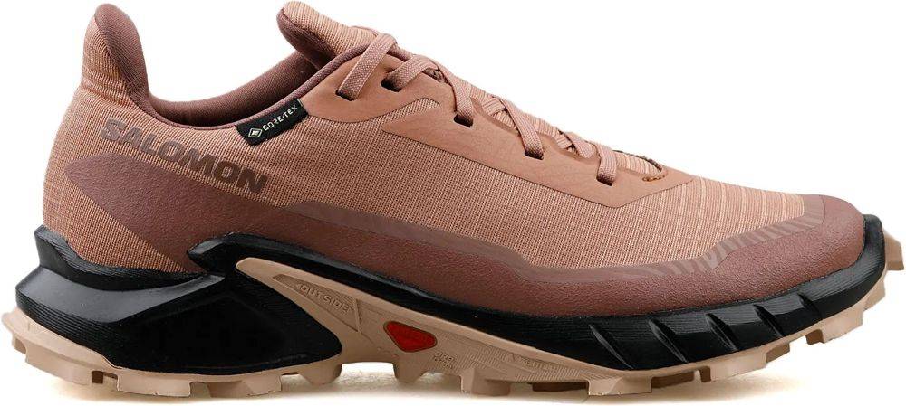 ΠΑΠΟΥΤΣΙ SALOMON ALPHACROSS 5 GORE-TEX ΡΟΖ