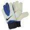   NIKE GK CLASSIC / (9)