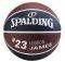  SPALDING NBA PLAYER LEBRON JAMES (7)