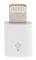 NOOSY APPLE LIGHTNING TO MICRO-USB ADAPTER BULK