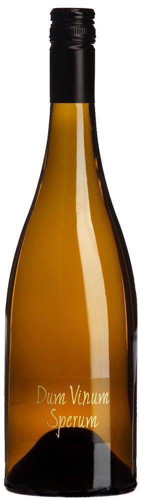 ΚΡΑΣΙ DUM VINUM SPERUM ΚΤΗΜΑ ΣΚΟΥΡΑΣ 2023 ΛΕΥΚΟ (STELVIN) MAGNUM 1500 ML ΚΤΗΜΑ ΣΚΟΥΡΑΣ