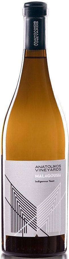 ΚΡΑΣΙ MALAGOUZIA (ΒΙΟ) ANATOLIKOS VINEYARDS 2023 ΛΕΥΚΟ 750 ML