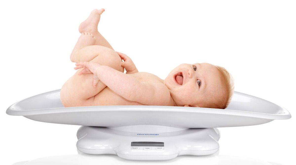 ΕΞΕΛΙΚΤΙΚΗ ΨΗΦΙΑΚΗ ΖΥΓΑΡΙΑ MINILAND SCALY UP 50KG