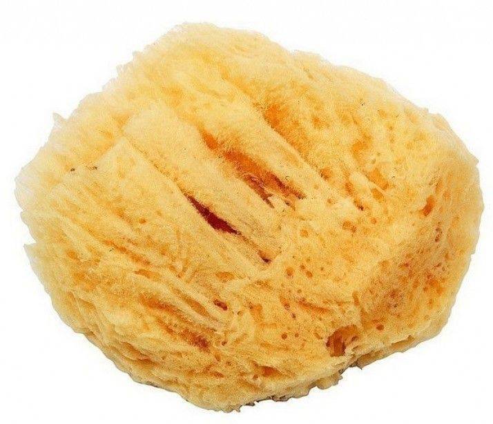 ΣΦΟΥΓΓΑΡΙ XTREME BABY ΦΥΣΙΚΟ A2