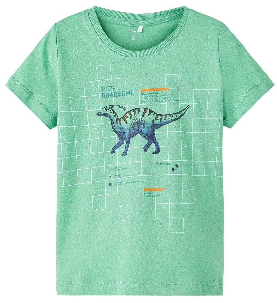 T-SHIRT NAME IT 13213252 NMMBERT ΠΡΑΣΙΝΟ (116 CM)-(6 ΕΤΩΝ) NAME IT