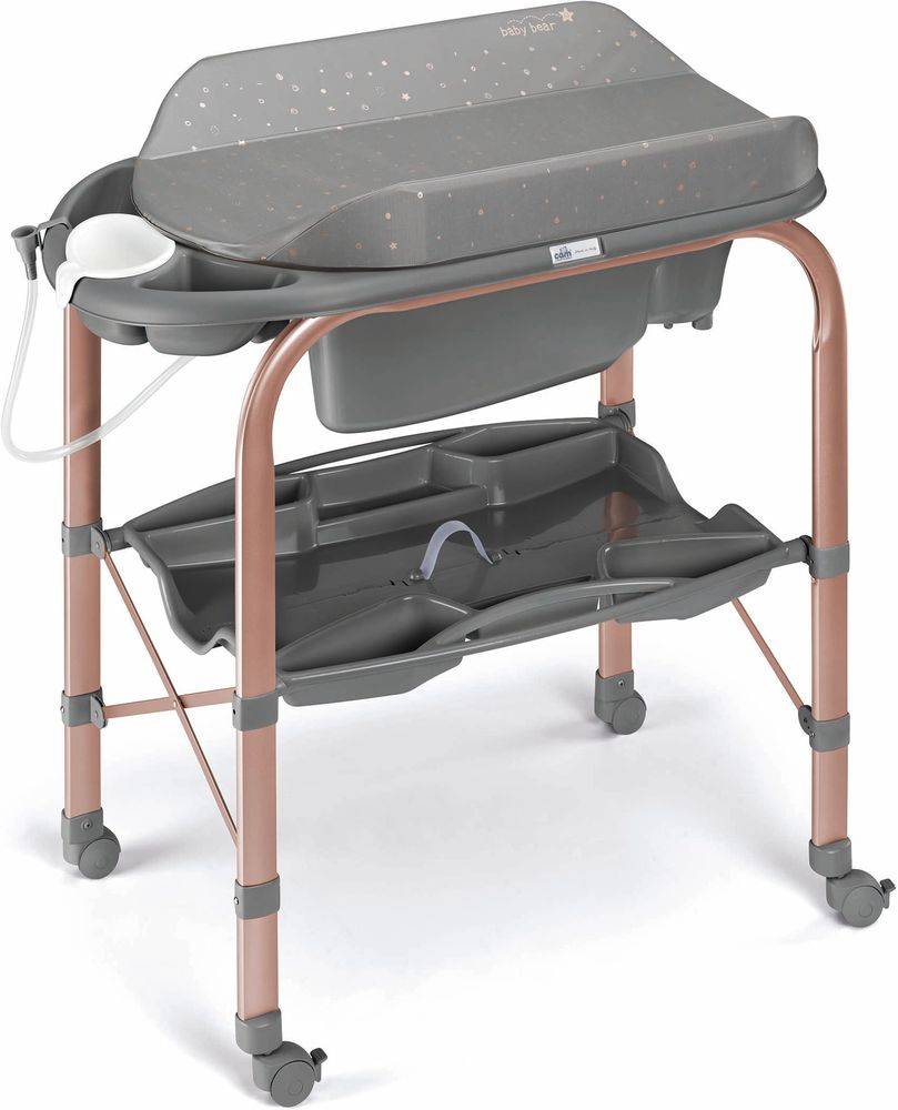 ΜΠΑΝΙΕΡΑ ΑΛΛΑΞΙΕΡΑ CAM CAMBIO Α - 209-263 ORO ROSA CAM