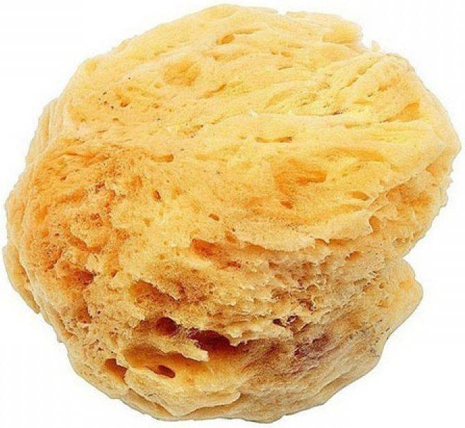 X-TREME BABY ΣΦΟΥΓΓΑΡΙ XTREME BABY ΦΥΣΙΚΟ A1