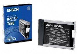   EPSON  (BLACK)  OEM T480011