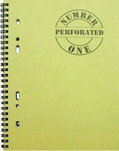 �������� 1 ������� 100 ������� PERFORATED ������ 17 X 25 �����