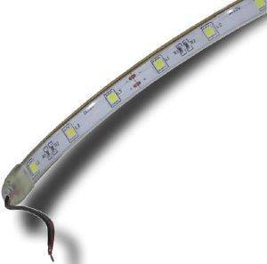  SMD5050 30 LEDS/ WHITE IP65 5