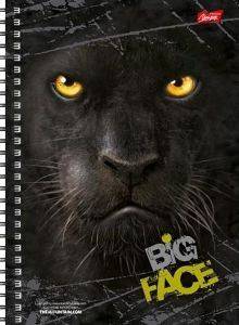 �������� ������ 2 ������� BIG FACE �����