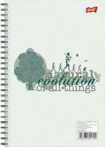 �������� ������ 3 ������� MAJEWSKI ECO 165X240 EVOLUTION