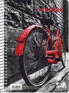  GLOBUS VINTAGE 003 17X25 3 