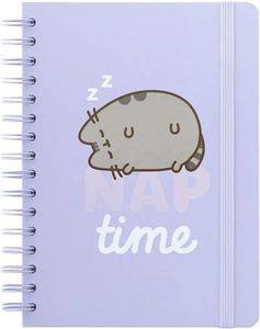   ERIK  A A5 / 15 X 21 CM PUSHEEN MOMENTS COLLECTION (90)
