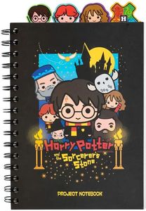   ERIK   5 / 15 X 21 CM HARRY POTTER (80 )