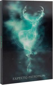  ERIK PREMIUM 5     HARRY POTTER (96)
