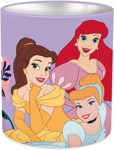   MUST DISNEY PRINCESS 10 X 11 CM