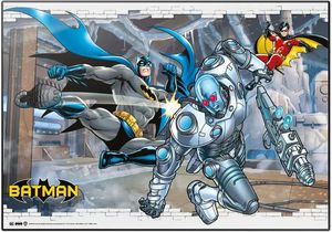 ERIK DC COMICS BATMAN