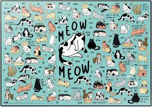  ERIK MEOW MEOW