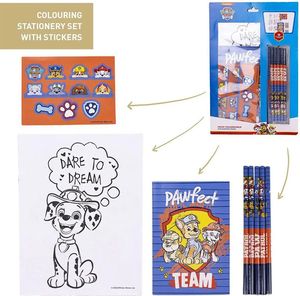 ��� �����������-���������� CERDA PAW PATROL 8���