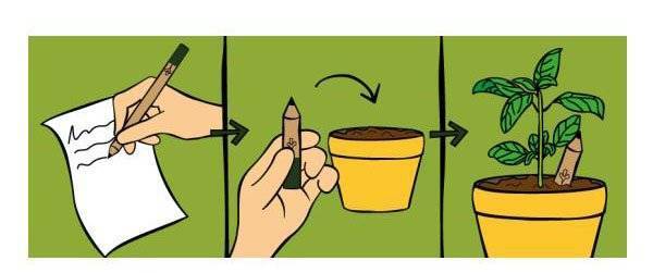 Stickman