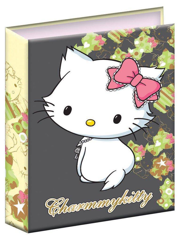 ΚΛΑΣΕΡ 17X25CM CHARMMY KITTY