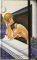  HARTA 149  -  ...