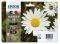   EPSON T1801 MULTIPACK ME OEM:C1...