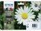   EPSON 18XL MULTIPACK ME OEM:C13...