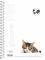 �������� GLOBUS PET 004 17X25 1 �������