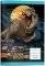   JURASSIC WORLD 17X25 001 40...
