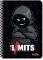 �������� ������ 17�25 2� 60 ����� 004 LIMITS ...