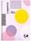  GLOBUS 17X25 STICK NOTES 2  ...