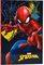 �������� SPIDERMAN GIM �5 40 ������ 17X25CM