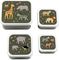    A LITTLE LOVELY COMPANY LUNCH & SNACK BOX SAVANNA