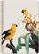  LOGINOTES SPIRAL LINE EXOTIC A5 / 14  20 CM  4  (40)