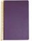  LOGINOTES SPIRAL LINE METALLIZE 13  20 CM  (120)