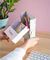 - ERIK PUSHEEN ROSE COLLECTION    