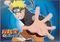 ������ ERIK NARUTO (ANIME COLLECTION)