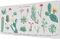  ERIK BOTANICAL CACTI GAMING PAD 80 X 35 CM