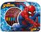��� ���������� AS ART CASE MARVEL SPIDERMAN