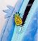 �������� 3D DISNEY LILO & STITCH